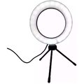 LUMINARIA RING LIGHT LAM-8479 6